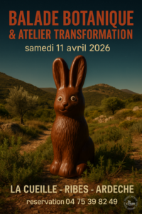Balade botanique & atelier transformation