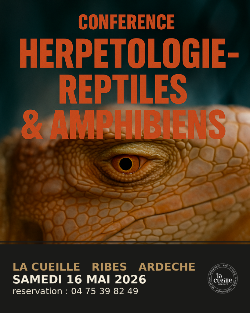 Conférence herpétologie — reptiles & amphibiens