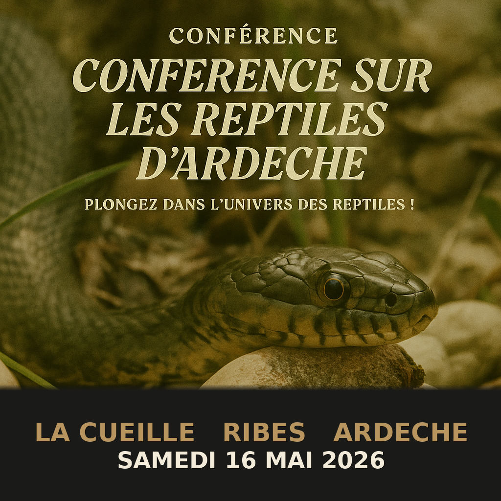 Conférence sur les Reptiles d&rsquo;Ardèche