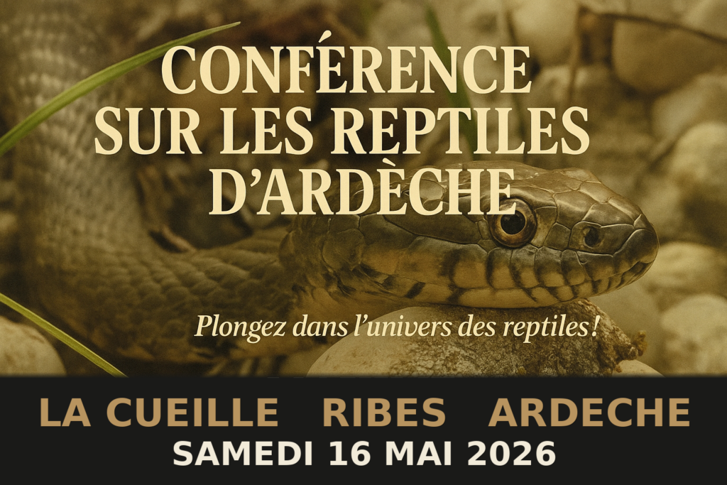 Conférence sur les Reptiles d&rsquo;Ardèche
